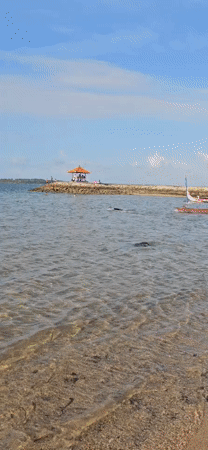Evening beach life captured in Denpasar, Indonesia