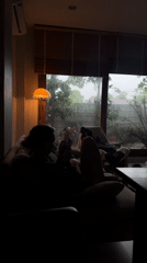 Rainy morning in at a Chang Phueak home, indoors and out