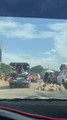 Pickup truck transports passengers in bed on Jos street