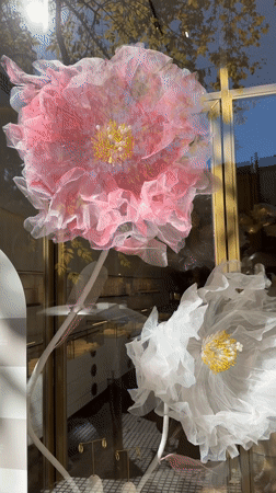 Routine street life documented across Buenos Aires commercial district