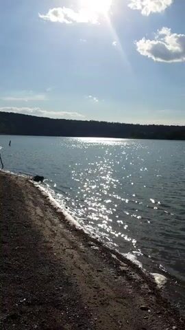 A video captures a natural body of water, likely a lake or reservoir, on a sunny day. The sun shines brightly in the upper portion of the frame, casting a shimmering reflection on the water's surface. The water appears calm with small ripples. The foreground shows a sandy or gravelly shore with some dark debris. A distant treeline or hillside forms the backdrop across the water. The sky is blue with a few scattered white clouds. The camera angle is low, near the water's edge, and the footage seems to be handheld, with a slight sway visible.