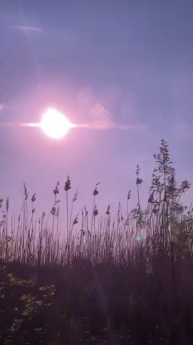 Dreamlike sunset footage captured in rural Russian grasslands