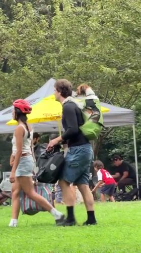 Dog rides backward in a green backpack through New York streets