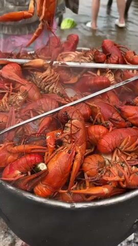A close-up video shows a large pot filled with boiled crawfish. A person's hands are seen using a wooden paddle to stir the crawfish in the pot, which is placed over an open fire, evidenced by smoke and embers visible at the bottom. The crawfish are bright red, indicating they are cooked. In the background, people are visible, and the environment appears to be outdoors, possibly near water, with wet ground. One person is wearing shorts with a tropical pattern, and another is wearing a camouflage jacket. A watermelon is visible in the background as well. The overall scene depicts an outdoor crawfish boil.