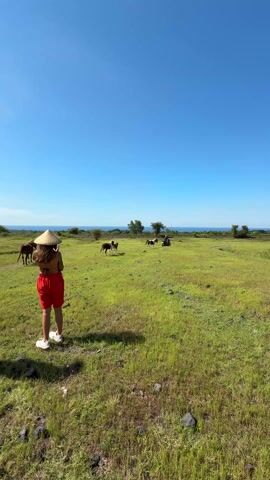 Two people are standing in a large grassy field on a sunny day. One person is wearing red shorts and a conical hat. The other person is wearing a black tank top and black shorts. There are horses in the field. The camera pans to show a mountain in the distance. The sky is blue with scattered clouds.