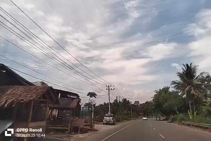 The video shows a road with an oncoming white car, seen through the windshield of a vehicle.  There are telephone poles and wires running along the side of the road. There are green trees, possibly palm trees, and other vegetation lining the side of the road. The sky is partly cloudy.