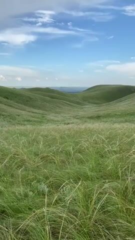 A vertical video shows a grassy landscape with rolling green hills under a partly cloudy blue sky. The foreground is filled with tall, wispy green grass. In the distance, the hills create a valley-like formation, with hints of blue water or distant land visible between them. The clouds are white and scattered, with some appearing more dramatic and darker. The overall impression is of a serene, natural environment.