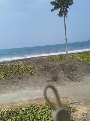 The video shows a beach with a palm tree and some vegetation. The ocean is visible in the background with waves rolling in. The camera is moving, giving a first-person perspective. There is a blurry object in the foreground which appears to be a keychain or a similar item. The sky is clear and blue. The lighting suggests it is daytime.