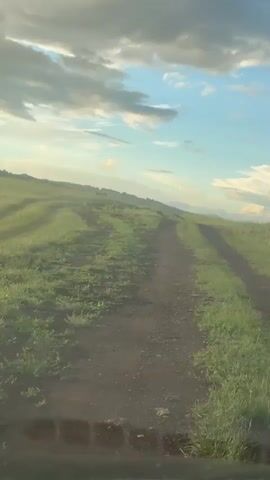The video shows a dirt road winding through a grassy field under a cloudy blue sky. The camera appears to be mounted inside a vehicle, possibly facing forward, as indicated by the blurry foreground and the view through a windshield. The sun is low in the sky, casting long shadows across the road and field, suggesting it is either early morning or late evening. The landscape is rolling hills covered in lush green grass. The clouds are a mix of white and grey, with some areas of bright sunlight breaking through. The road itself is dark and appears to be a well-traveled track with two distinct tire ruts. There are no people or animals visible in the frame.