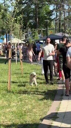 Outdoor market and family gathering observed in Kragujevac park