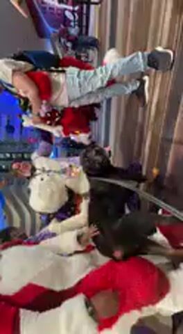 The video captures an indoor scene at what appears to be a lively event or convention. Several people are gathered, with a prominent individual in a white, furry costume (resembling a mascot or character) at the center of attention. This costumed person is interacting with other attendees. A person in a dark jacket is seen leaning forward, seemingly engaging with the costumed individual or items on a table/counter in the foreground. Other people, dressed in casual attire including red and blue shirts and light-colored jeans, are standing around, observing or participating in conversations. In the background, a booth or display area with blue lighting is visible, suggesting a commercial or entertainment setting. The overall atmosphere seems engaging and social, with people interacting. There is no discernible text visible in the frame. The audio includes speech and general background chatter, reinforcing the active event environment.