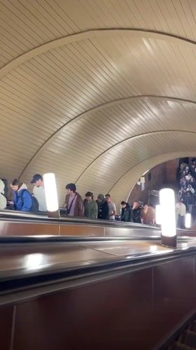 Morning scenes captured: subway escalators and child with parrot