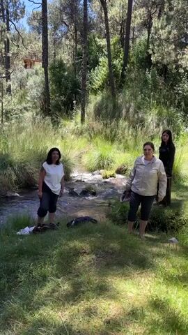 The video shows a natural scene with a stream flowing through it. There are several people present, some of whom are wading in the stream. One woman, wearing a white top and dark pants, stands in the water on the left side of the frame. Another woman, in a light-colored jacket and dark shorts, stands on the right side of the frame, holding a pair of shoes. A third person, dressed in dark clothing, is partially visible in the background on the right. There are also bags and clothing items on the grassy bank. The environment appears to be a forest or wooded area with tall green grass and trees. The overall impression is of people enjoying a casual outing in nature.