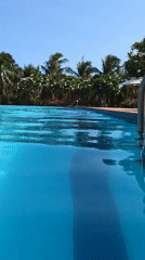 Morning swimmer enjoys pool in Phu Thuy Ward, Vietnam