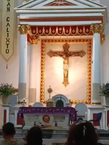 Inside a church, a crucifix hangs framed in gold against a white wall. Two white columns, adorned with gold on top, flank either side. In front of the crucifix is a table draped with purple fabric. A golden monstrance rests atop the table. To the left, a banner reads "SAN CALIXTO." A small child walks towards the altar. Several people sit in the foreground, with their backs to the camera. Potted plants are also visible.