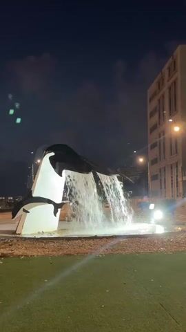 A nighttime video shows a fountain sculpture in the shape of killer whales. The sculpture is in a public space with a grassy area in the foreground and a road and buildings in the background. Water cascades from the sculpture, creating a dramatic effect. The scene is illuminated by streetlights and the headlights of a vehicle.