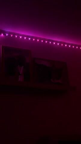The video shows a shelf mounted on a wall. On the shelf are two framed pictures and a small white diffuser with reeds. Above the shelf, a string of LED lights is installed along the ceiling. The color of the LED lights changes sequentially from green to pink to blue and back to green. The room is dimly lit, and the changing colored lights cast shadows and alter the appearance of the objects and the wall. The video appears to be a time-lapse or a demonstration of the color-changing LED lights.