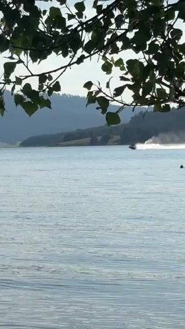 The video captures a serene waterscape with a jet ski speeding across the calm surface. In the foreground, lush green leaves hang from tree branches, framing the scene and adding a touch of natural beauty. The jet ski, with a person riding it, creates a white spray as it moves, indicating a moment of recreation and enjoyment.

The background features rolling hills covered in dense, dark green forests, suggesting a remote and picturesque location. The sky is a mix of blue and white clouds, implying fair weather, possibly late afternoon given the soft light filtering through the leaves and illuminating the water. The overall atmosphere is peaceful and idyllic, highlighting the blend of natural scenery and water activities. There is no visible text in the media file. The location is identified as Batak, Bulgaria.