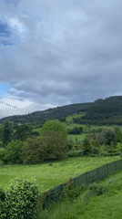 Morning rural documentation captures Villaviciosa countryside and farm life