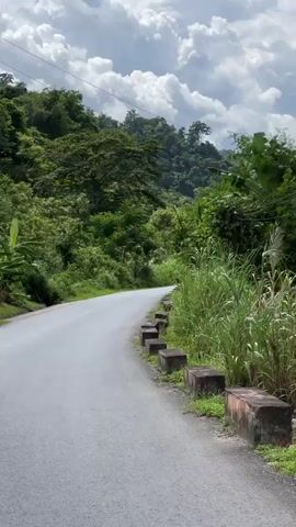 A POV shot of a person walking on a paved road that curves to the left. The road has yellow dashed lines marking the lanes and concrete blocks lined up along the right edge. Tall green grass and foliage grow on the right side of the road, and a lush, green, tree-covered hillside rises in the background. Overhead power lines are visible against a cloudy sky.
