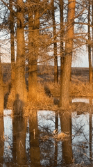 Flooding documented in Russian village, residents washing muddy boots