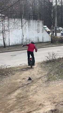 The video shows a person riding an electric unicycle on a road. The person is wearing a red jacket, black pants, and a cap. They are riding away from the camera. The road is next to a sidewalk and a grassy area. There are trees and buildings in the background. A car passes by the road. A bird stands on the ground near the camera. The weather appears to be overcast.