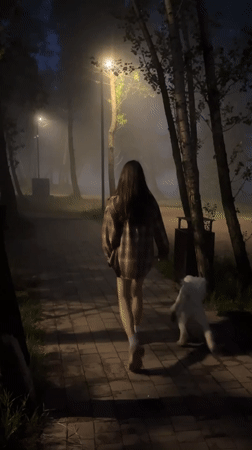 Foggy evening dog walk along Krasnoyarsk's misty waterfront
