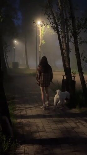 Foggy evening dog walk along Krasnoyarsk's misty waterfront