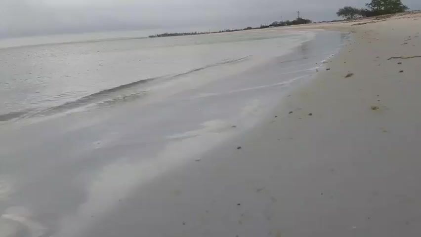 A low-angle, wide shot captures a serene beach scene with gentle waves lapping the shore under an overcast sky. The sand is a pale gray, speckled with small dark particles and occasional specks of yellow. The water is calm and appears shallow, with a subtle sheen on its surface. In the distance, a faint horizon line is visible, with a few scattered structures and vegetation suggesting a coastal settlement. The overall atmosphere is peaceful and quiet, emphasizing the natural beauty of the environment.