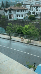 Early morning life captured in Zlatograd, Bulgaria