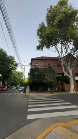 The video shows a street corner with crosswalks and traffic lights. Trees line the sidewalks, and buildings are visible on each corner. A red bus and several parked cars are seen. Some buildings have lights on inside. The sky is light blue. No people are clearly visible.