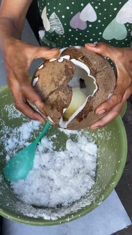 A person wearing a green patterned apron uses their hands to hold a halved coconut over a green bowl filled with shredded coconut. The coconut half in their hands contains what appears to be a coconut sprout inside the shell. A blue plastic spoon rests in the bowl of shredded coconut. The scene is brightly lit, suggesting an outdoor setting.