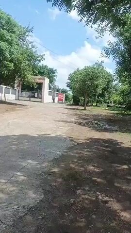 The video shows a dirt road leading towards a building with red and white signage. Trees with green foliage line the right side of the road and a large tree with dense leaves is visible in the center of the frame. The sky is partly cloudy. The camera pans upwards, showing more of the trees and the sky.