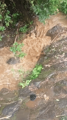 Flooding hits Athiru Gaiti ward as residents clean up