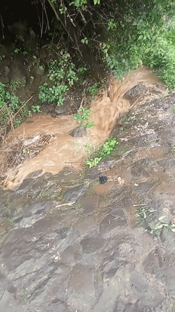 Flooding hits Athiru Gaiti ward as residents clean up