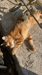 Casual beach and street life documented in Alanya, Turkey
