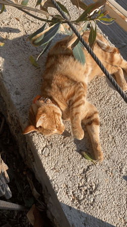 Casual beach and street life documented in Alanya, Turkey