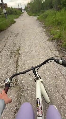 Cyclist encounters stork nest on rural Bulgarian road