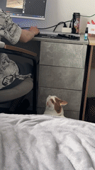 Casual afternoon moments captured in Russian residential setting