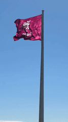 Hebrew hotel company flag spotted flying in Sirius, Russia