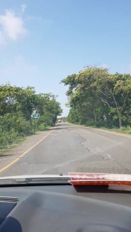 The video captures a scenic drive down a tree-lined road in Thenpattinam, India. The camera is positioned inside a vehicle, looking forward through the windshield. The road is asphalt with yellow and white lane markings. Lush green trees and foliage flank both sides of the road, with some trees extending over the pavement, creating a natural canopy. The sky is a clear blue with a few scattered white clouds, suggesting a bright and sunny day, likely in the late morning or early afternoon given the strong sunlight and shadows.

In the distance, several vehicles are visible on the road, including what appear to be yellow school buses and other cars or trucks, indicating ongoing traffic. A green signpost with text is visible on the left side of the road, but the text is too small and blurry to be read. The road surface shows some signs of wear and tear, with patches and cracks visible. The overall mood of the video is peaceful and serene, highlighting the natural beauty of the rural landscape. There are no people clearly visible within the frame, but the presence of vehicles implies human activity. The foreground of the video shows the dashboard of the vehicle, with a red and white object resting on it.