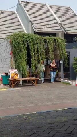 Two women are standing in front of a house that has a large amount of green vines hanging from its roof. The woman on the left is wearing a white shirt and light blue pants. The woman on the right is wearing a black shirt and blue jeans. There is a bench and a sign in front of the house. The sign has a picture of food on it. The ground in front of the house is paved with bricks.