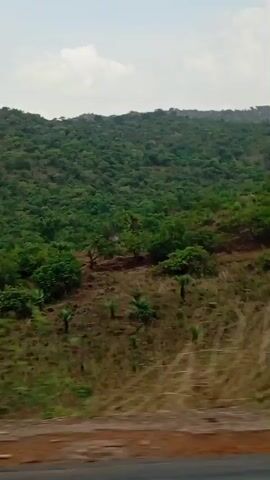 The video captures a natural landscape, likely viewed from a moving vehicle. The scene primarily features rolling hills covered in dense, vibrant green foliage, suggesting a forested or heavily vegetated area.

In contrast to the lush hills, the immediate foreground and lower slopes display significant patches of dry, brown earth, interspersed with yellowish-brown grass and sparse green shrubs. This contrast might indicate a transition zone or areas of recent clearing, possibly for agriculture, or conditions during a drier season.

The sky is a pale blue with scattered white cumulus clouds, indicating a bright, clear day, likely late morning or early afternoon.

Around the 0:02 mark, the view momentarily blurs into horizontal streaks of gray and brown, strongly suggesting the vehicle passed rapidly under an overpass, bridge, or past a very close structure.

Following this brief blur, the landscape reappears, continuing with the pattern of green hills in the distance and a foreground of mixed dry and patchy green vegetation. A notable detail in this section is a solitary, bare, light-colored tree standing prominently against the greener backdrop, appearing devoid of leaves.

The overall impression is one of rural, undeveloped terrain. No human structures or individuals are visible in the frames. The location context of Assob Hausa, Nigeria, aligns with the tropical savanna or bushland environment depicted. There is no discernible text within the video segments.