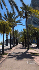 Sunny afternoon stroll captured along Barcelona's palm-lined marina promenade