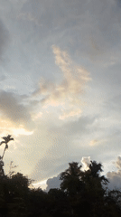 Sky conditions and vegetation documented in Lhokseumawe, Indonesia