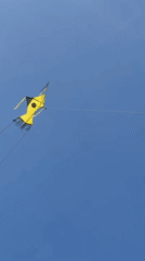 Kite flies in clear morning skies over Peleana