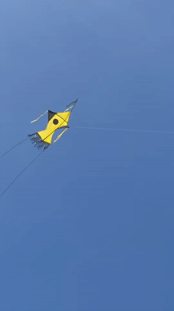 Kite flies in clear morning skies over Peleana