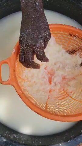 A person with dark skin is seen pressing shredded white food through an orange plastic colander. The colander is positioned above a large black bucket filled with a milky white liquid. The person's hand is partially submerged in the liquid and food inside the colander.