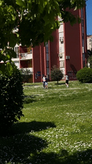 Person sits with French Bulldogs in Budva park