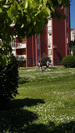 Person sits with French Bulldogs in Budva park